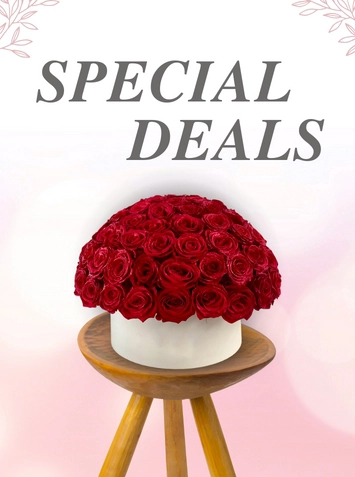 Special Deal