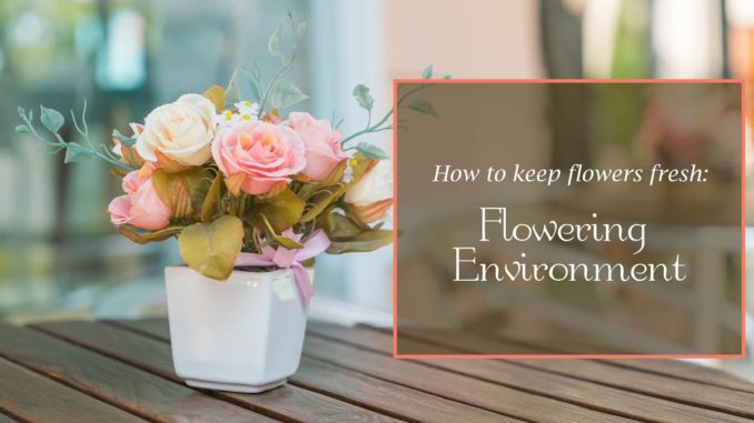 The Definitive Guide on How to Keep Flowers Fresh