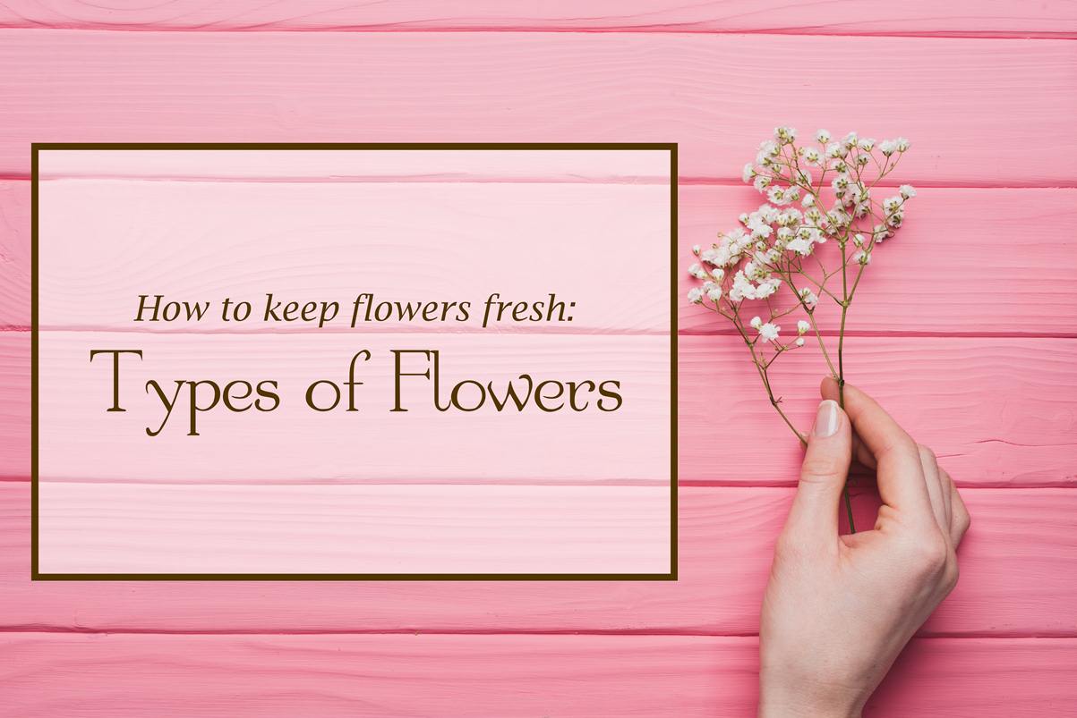 Flower Care 101 – The Definitive Guide on How to Keep Flowers Fresh