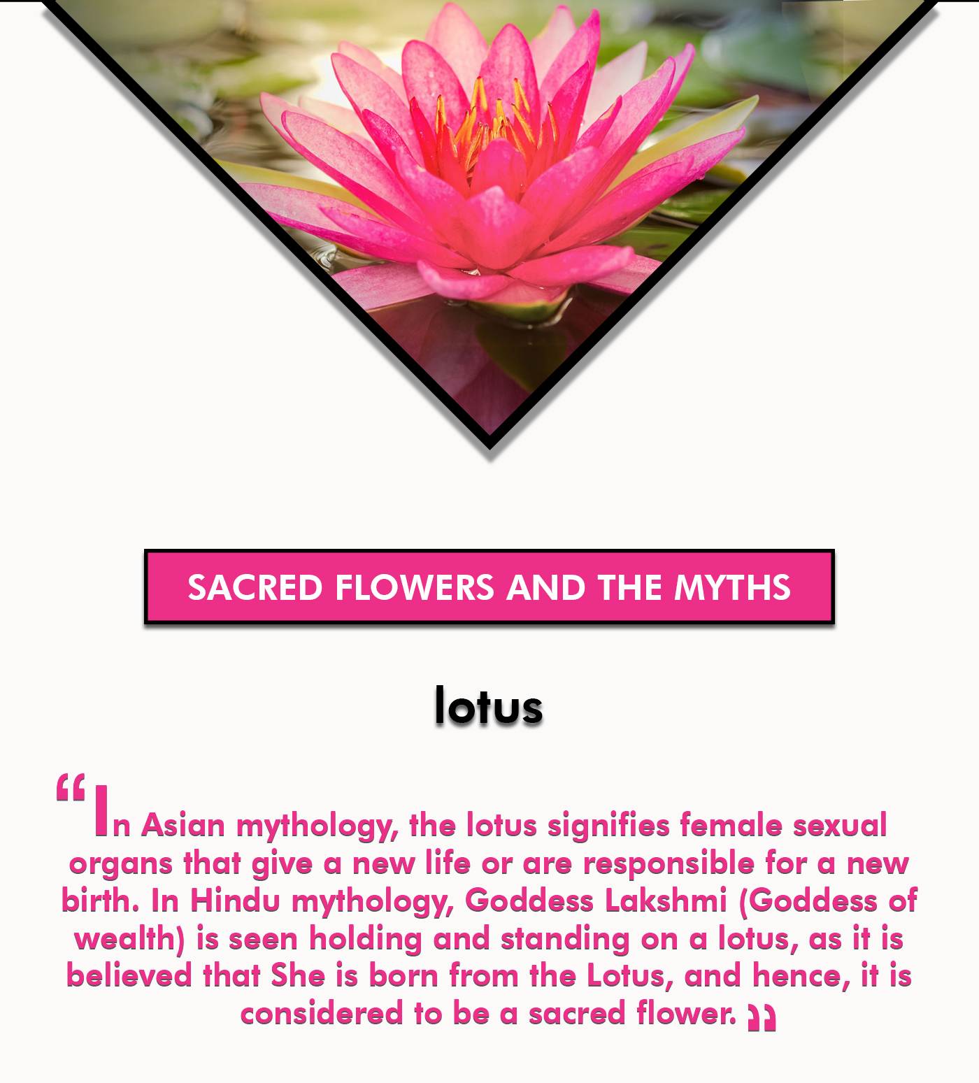 Sacred Flowers and the Myths Related to Them
