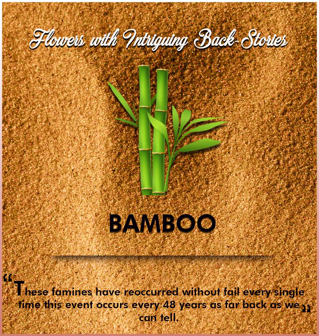 The backstory of the Bamboo 5 Interesting Flowers with Intriguing Back-Stories