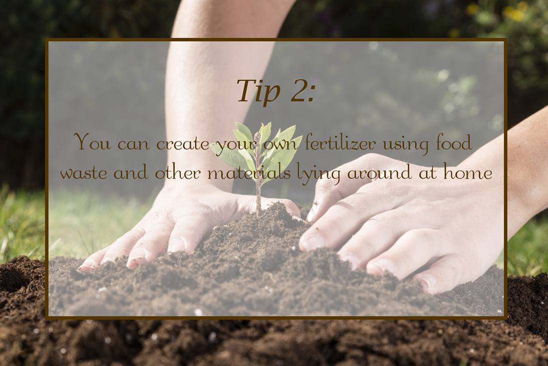 Flower Care 101 – The Definitive Guide on How to Keep Flowers Fresh