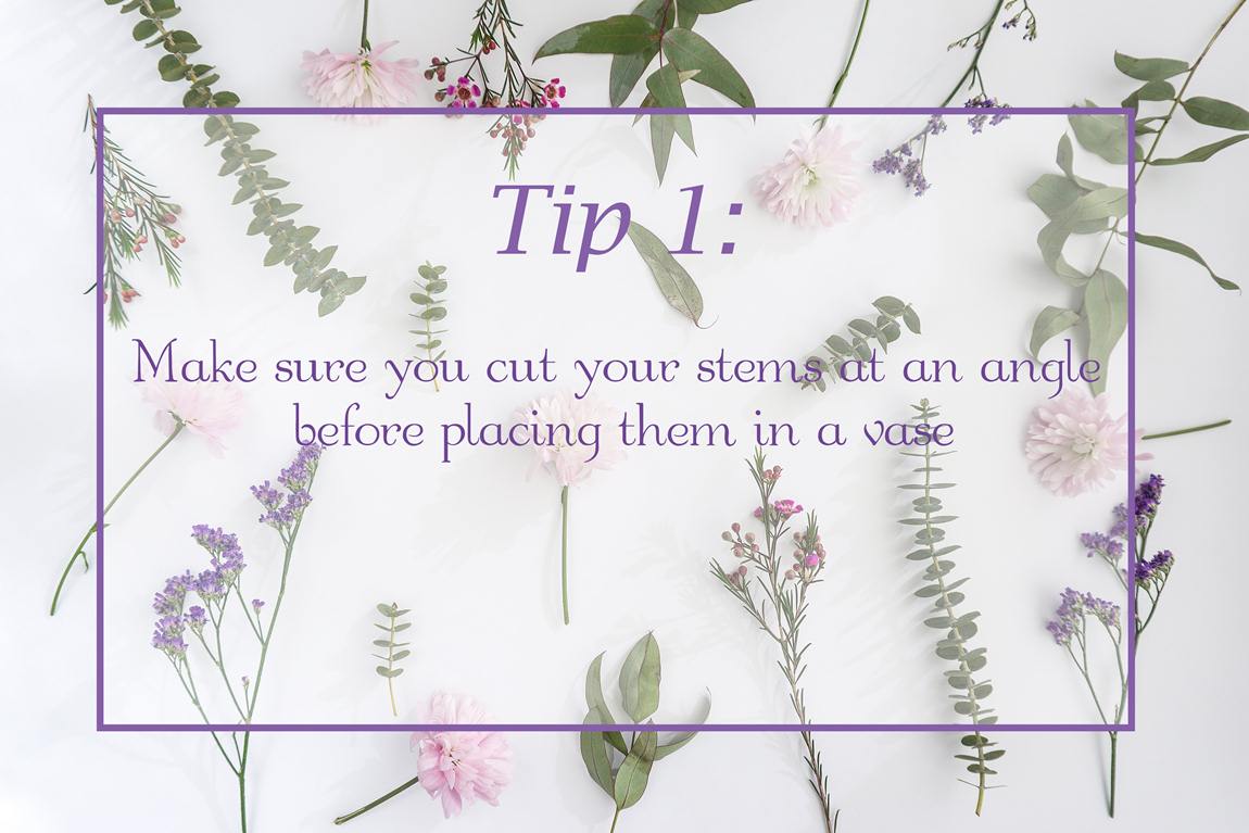 Flower Care 101 – The Definitive Guide on How to Keep Flowers Fresh