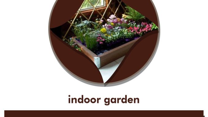 How To Start And Maintain Your Own Flower Garden