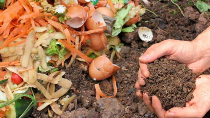 Guide to backyard composting Backyard composting- An ultimate guide