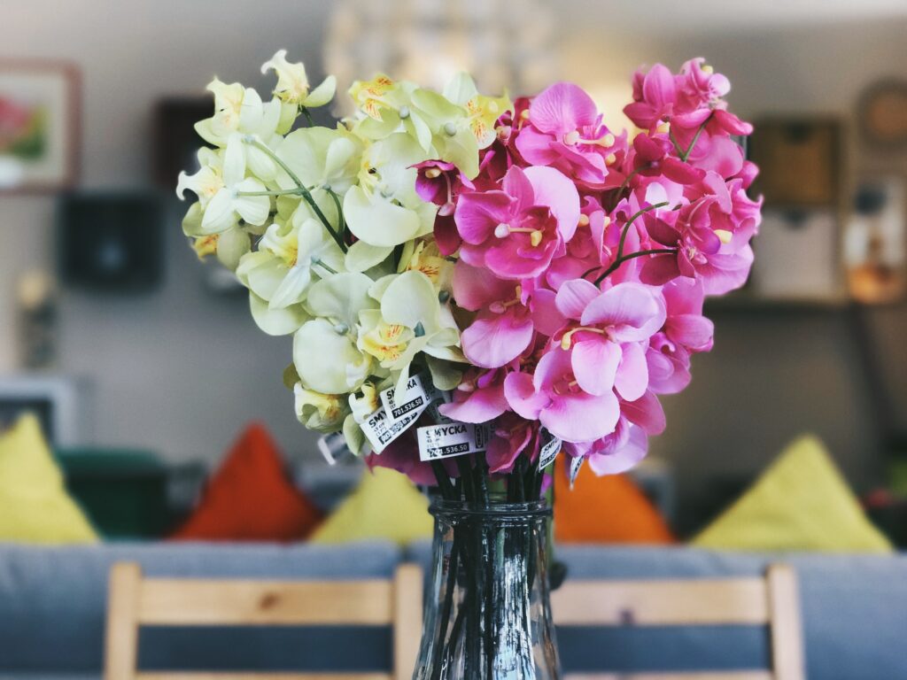 Succulents in a Vase Decor ideas for the living room