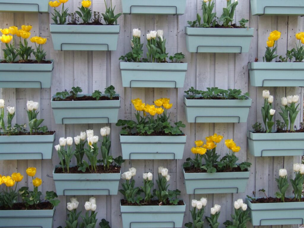 Potted Flowers Potted Flowers