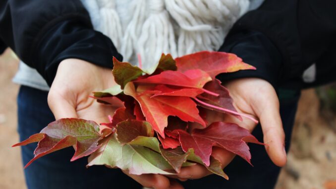 Make October The Month Of Gifting And Showering Love
