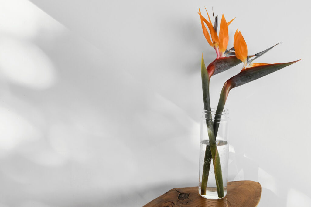 Tips to Take Care of Flowers