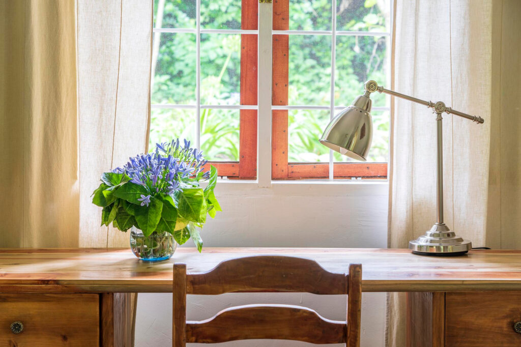 Tips to Take Care of Flowers